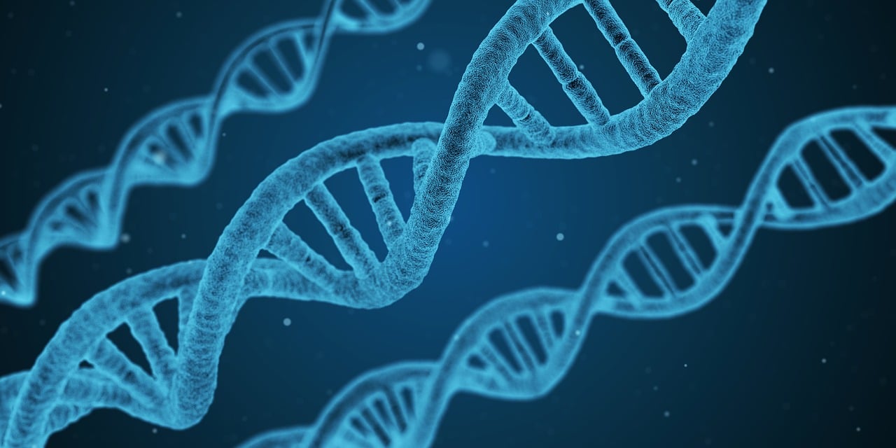 揭秘大乐透必出号码组合，科学还是迷信？